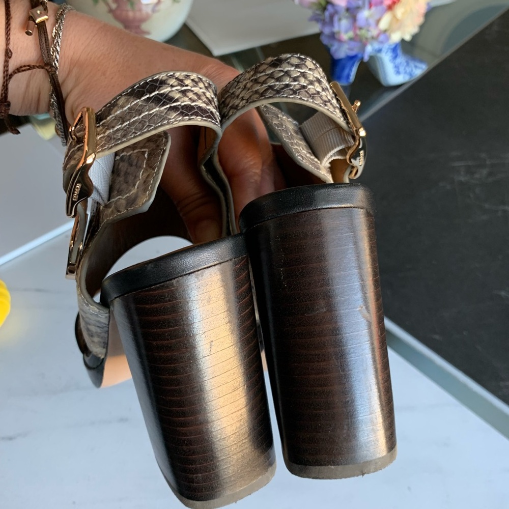 COACH BETSY MAT CALF/LUX SNAKE BLACK NATURAL SANDALS Open Toe Heels Sz 7 - Picture 8 of 10